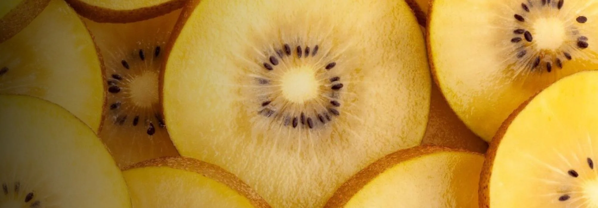 Freshness Delivered to Your Door